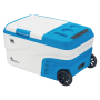 Автохолодильник компресорний Weekender DS25 25 л
