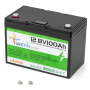 Литий-феррумный аккумулятор 12V 100AЧ LiFePO4 Fisher