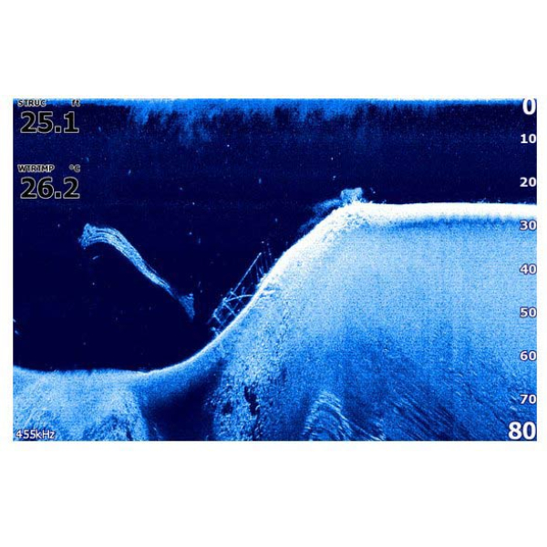 Еxолот Lowrance Hook-3x DSI