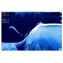 Еxолот Lowrance Hook-3x DSI Еxолот Lowrance Hook-3x DSI