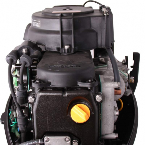 Човновий двигун Parsun F9.8 BMS (DC)