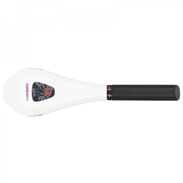 Електромотор Haibo D44 + акумулятор Haswing 100Ah