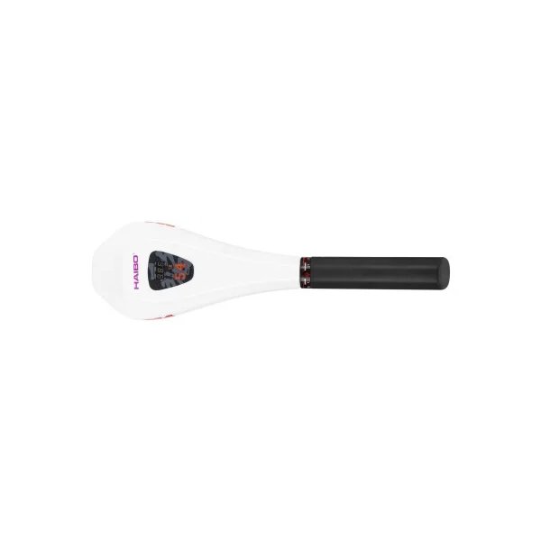 Электромотор Haibo D54 + аккумулятор Haswing 100Ah