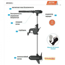 Haswing (Хасвінг) Protruar 3.0 110 Lbs 12 V