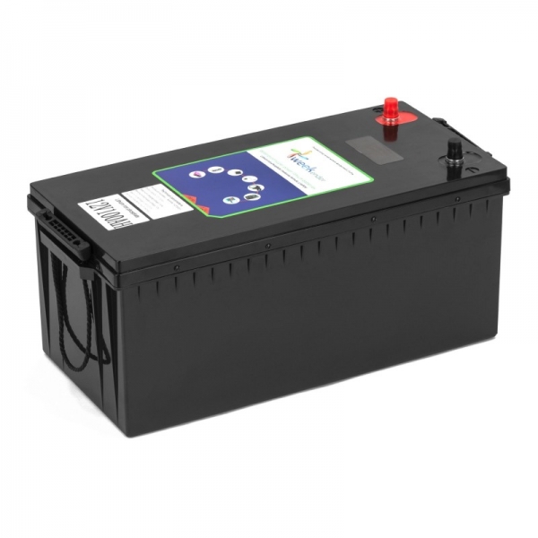 Літій-ферумний акумулятор із зарядкою 100Ah 12V LiFePO4