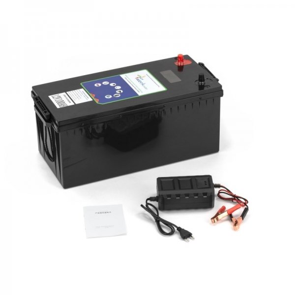 Літій-ферумний акумулятор із зарядкою 100Ah 12V LiFePO4