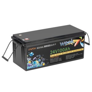 Акумулятор Weekender LiFePO4 FT24100 25.6 V 100 Аh без дисплея