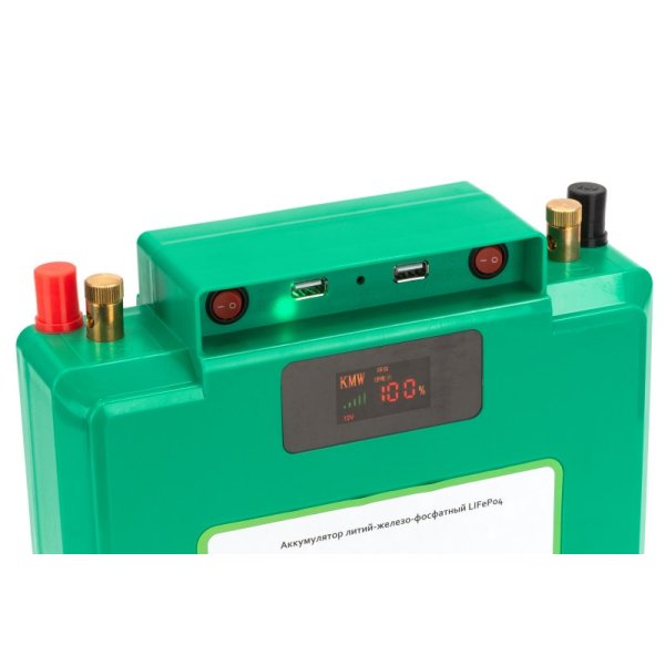 Литий-феррумный аккумулятор с зарядкой 60Ah 12V LiFePO4