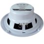 Пара морских динамиков 120Вт (DBS6010W) Пара морских динамиков 120Вт (DBS6010W)